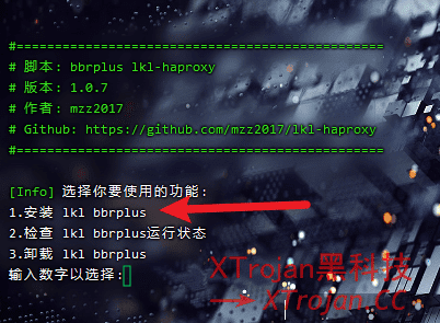 NAT VPS 使用说明插图24